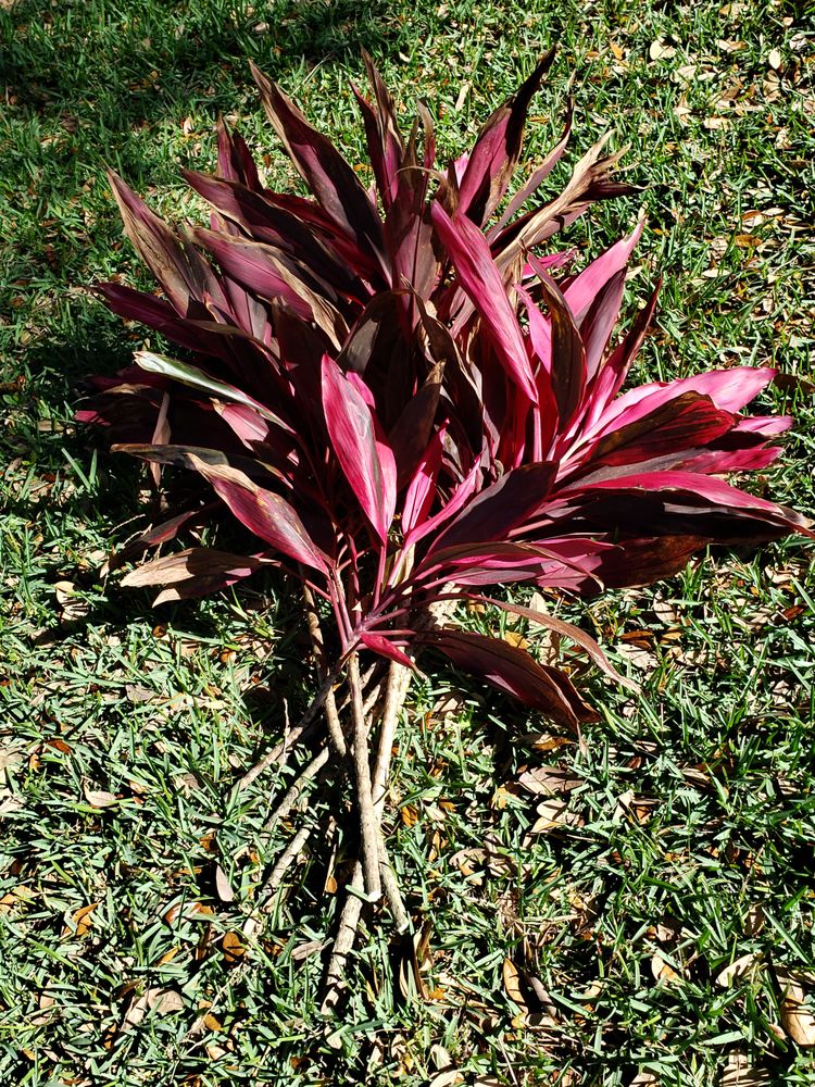 GREEN BANDIT LAWN CARE Updated September 2024 16714 Tobacco Rd