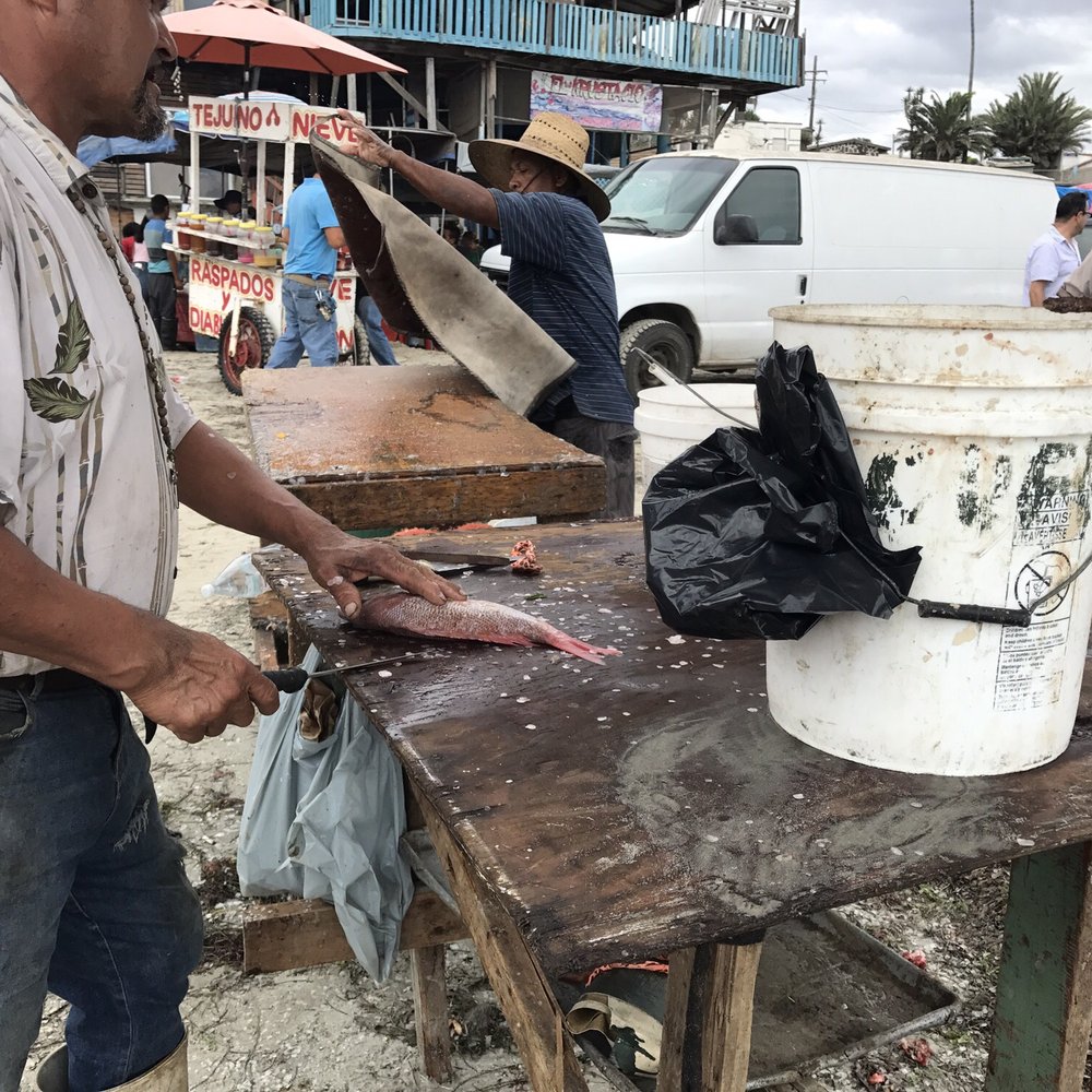 Playa de Popotla - "Cleaning" station - Beaches Near Me - Rosarito, BCN Playa de Popotla - "Cleaning" station - Beaches Near Me - Rosarito, BCN