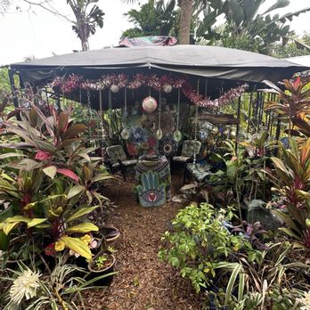 Whimzeyland - Art Tours Near Me - Safety Harbor, Florida Whimzeyland - Art Tours Near Me - Safety Harbor, Florida