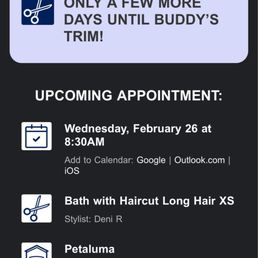 appointment appointment