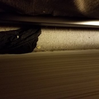 Hilton Albany - Previous guests underwear found behind the headboard upon entering the room. - Hotels Near Me - Albany, New York