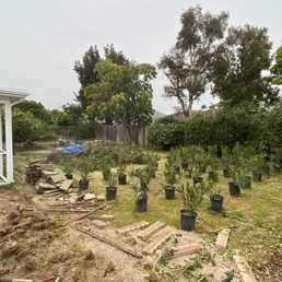 Old yard space. Half way through project.