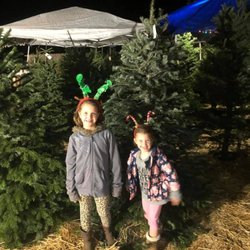 Ashton’s Christmas Tree Farm