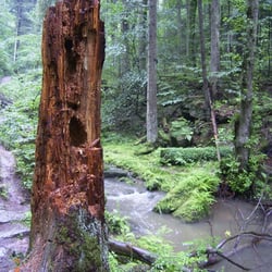 Monbachtal