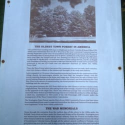 Newington Town Forest