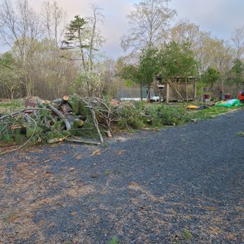 Drew's Multi Service - a pile of tree limbs and branches - Landscaping Near Me Drew's Multi Service - a pile of tree limbs and branches - Landscaping Near Me