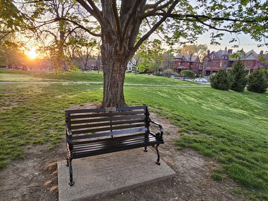 Goodale Park by null