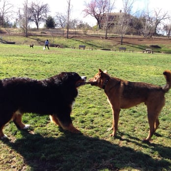 Ashley Memorial Dog Park - Duke & Bear - Dog Parks Near Me - Auburn, California Ashley Memorial Dog Park - Duke & Bear - Dog Parks Near Me - Auburn, California