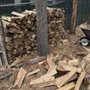 Photo of Corona Tree Service