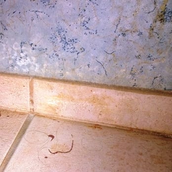 Harrah's Laughlin - A Caesars Rewards Destination - Filthy Bathroom Floors II - Hotels Near Me - Laughlin, Nevada