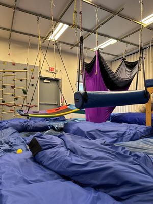 Advanced Pediatric Therapies