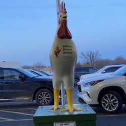 The big chicken