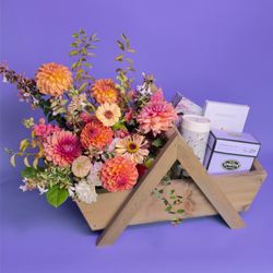 Campanula Design Studio Seattle Florist & Gift Baskets
