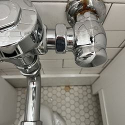 BPG Property Inspections - He missed this? Yet said he flushed the toilet 10 times. I don't think so!