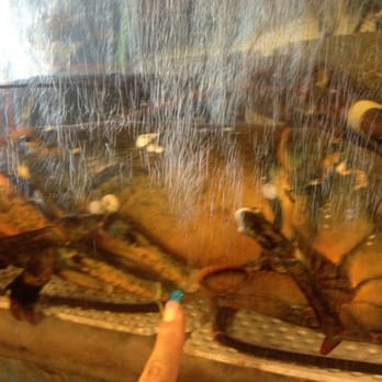 Fu Lam Moon - Huge lobster - Dim Sum Near Me - Fremont, California Fu Lam Moon - Huge lobster - Dim Sum Near Me - Fremont, California