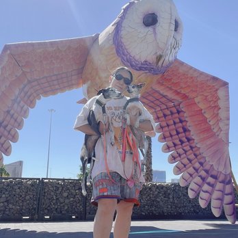 AREA15 - Animals... - Venues & Event Spaces Near Me - Las Vegas, Nevada AREA15 - Animals... - Venues & Event Spaces Near Me - Las Vegas, Nevada