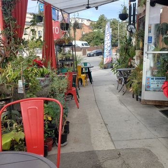 Zenaida's Cafe - Many patio seating options - Cafes Near Me - Los Angeles, California Zenaida's Cafe - Many patio seating options - Cafes Near Me - Los Angeles, California