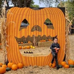 The Haunted Pumpkin Patch
