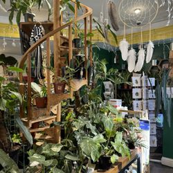 Put a Plant On It