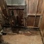 Photo of Herizon Home Builders