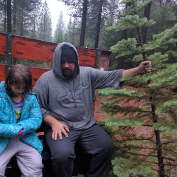 Little Bear Tree Farm - It was pouring rain but we had a lot of fun - Christmas Trees Near Me - Alta, California Little Bear Tree Farm - It was pouring rain but we had a lot of fun - Christmas Trees Near Me - Alta, California