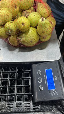 Los Angeles Regional Food Bank by null