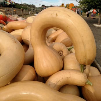 Linvilla Orchards - Farmers Market Near Me - Media, Pennsylvania