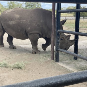Rhinory - Wineries Near Me - Fredericksburg, Texas