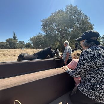 Covells Clydesdale Ranch - The kids loved it! - Horseback Riding Near Me - Cambria, California Covells Clydesdale Ranch - The kids loved it! - Horseback Riding Near Me - Cambria, California