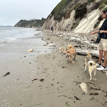 Arroyo Burro Beach - Beaches Near Me - Santa Barbara, California