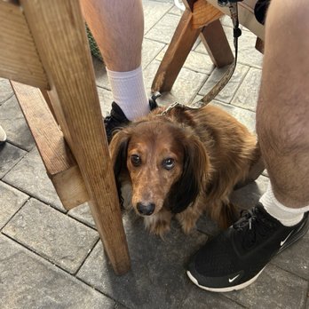 Swell Taco - Dogs allowed - Mexican Near Me - Babylon, New York