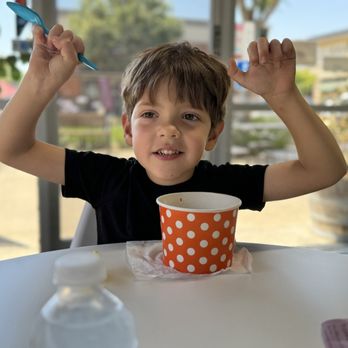 Yogurtvilla - Ice Cream & Frozen Yogurt Near Me - Rancho Cordova, California Yogurtvilla - Ice Cream & Frozen Yogurt Near Me - Rancho Cordova, California