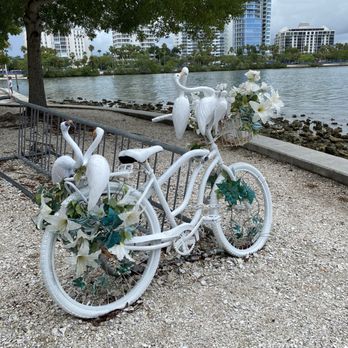 Bayfront Park and Marina - Bicycle art - Parks Near Me - Sarasota, Florida Bayfront Park and Marina - Bicycle art - Parks Near Me - Sarasota, Florida