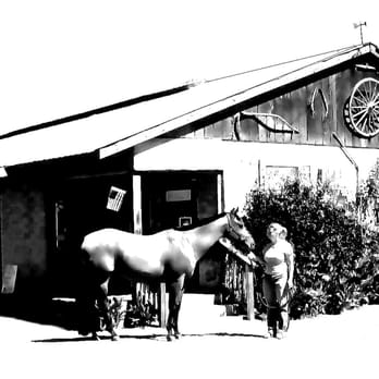 Tri-County Veterinary Hospital - Emergency Pet Hospital Near Me - Gilroy, California Tri-County Veterinary Hospital - Emergency Pet Hospital Near Me - Gilroy, California