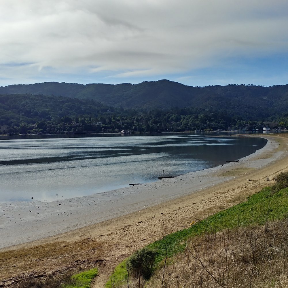 Millerton Point - Tomales Bay, looking northwest from Millerton Point - Hiking Near Me - Millerton, California