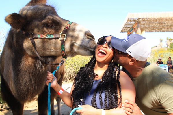 Cabo Adventures by null