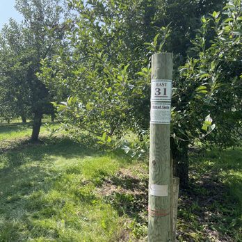 Royal Oak Farm Orchard - Fruits & Veggies Near Me - Harvard, Illinois