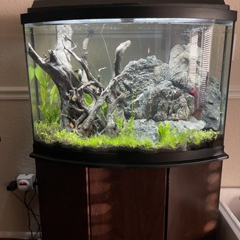 Aquarium Shop - My 2nd tank (36gal) - Local Fish Stores Near Me - North Palm Beach, Florida