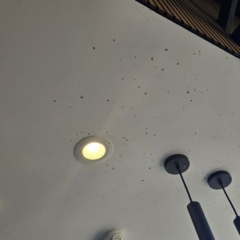 Urban Bubble - Need to clean the ceiling.. - Bubble Tea Near Me - San Diego, California Urban Bubble - Need to clean the ceiling.. - Bubble Tea Near Me - San Diego, California