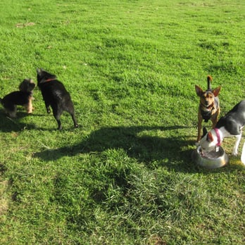 Schoonover Dog Park - Dog Parks Near Me - Marina, California Schoonover Dog Park - Dog Parks Near Me - Marina, California