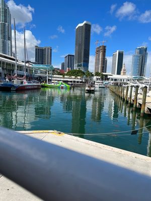 LandShark Bar & Grill - Miami Bayside by null