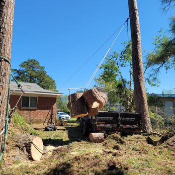 Southern Tree Ninjas - Tree Services Near Me - Leesville, Louisiana