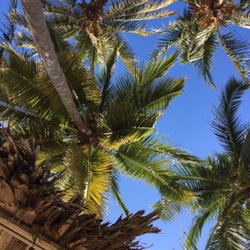 Villa Mozart y Macondo - Palms