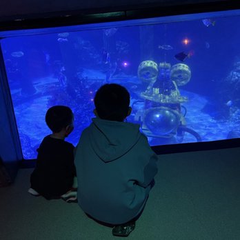 Sea Life Aquarium - Aquariums Near Me - Carlsbad, California Sea Life Aquarium - Aquariums Near Me - Carlsbad, California