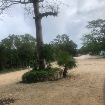 Cenote Dos Ojos - Parking area - Scuba Diving Near Me - Tulum, ROO Cenote Dos Ojos - Parking area - Scuba Diving Near Me - Tulum, ROO