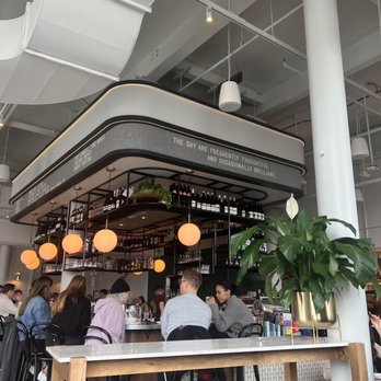 Shy Bird - Salad Near Me - Boston, Massachusetts Shy Bird - Salad Near Me - Boston, Massachusetts
