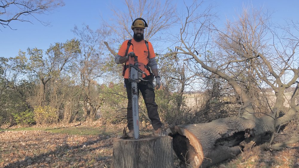 Log Masters Tree Service - tree service in Fort Wayne, IN