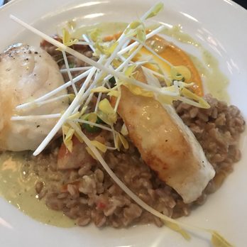 Bottiglia - Pan Roasted Halibut - Italian Near Me - Henderson, Nevada
