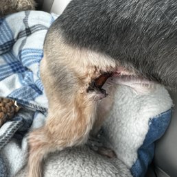 10 stitches 10 stitches