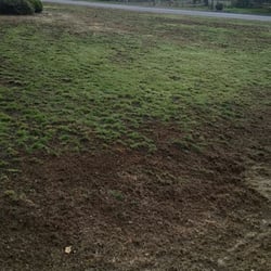 Brian Huber Lawn Maintenance - After thatch